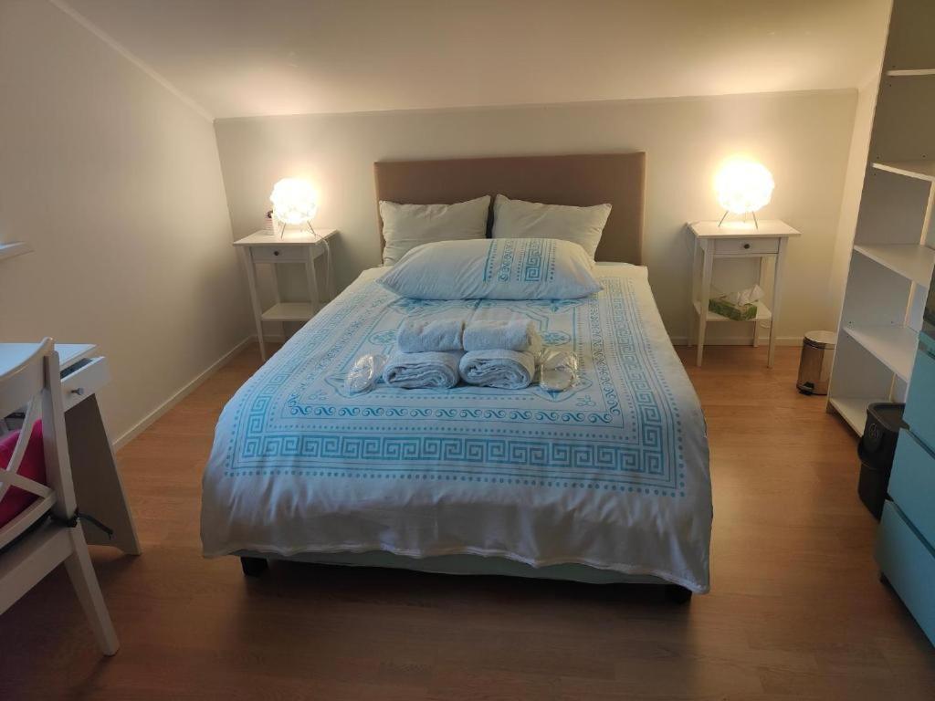 Chambre Zen Et Calme Bed & Breakfast Le Bouveret ภายนอก รูปภาพ